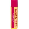 Burt's Bees Hagel Nature|Lippenpflege|Watermelon Lip Balm Stick 4,25 g
