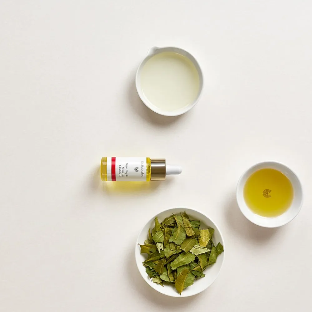 Dr. Hauschka Nagelpflege|Nature^Neem Nagelöl 18 ml