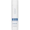 professional EnVité Anti-Grease Shampoo 250 ml-Dusy Online