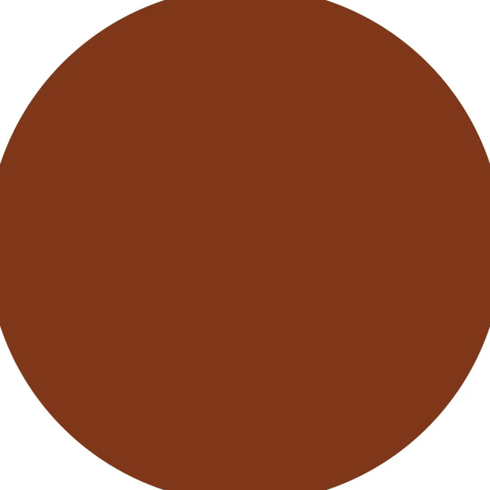 line n' STAIN! TATTOO LIP LINER 13 g-essence New