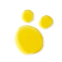 Evolve Hagel Nature|Gesicht|Bio-Retinol +C Booster 15 ml