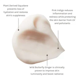 Hydrate And Protect Facial Cream 30 ml-Evolve New