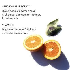 Blonde Rx Brightening Oil 50 ml-Fekkai New