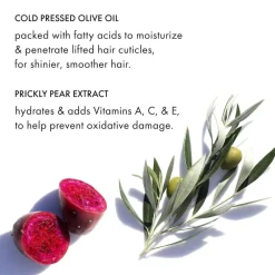 Brilliant Gloss Glass Hair Anti-frizz Serum 100 ml-Fekkai Sale