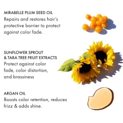 Fekkai Conditioner|Technician Color Conditioner 250 ml