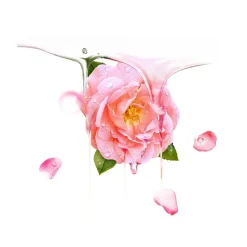 UFO Mask Bulgarian Rose 6 Stück-FOREO Sweden New