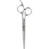 Shears Transform Schere Silber 6.25 inch-Fromm Best