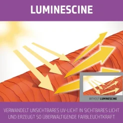 Dualsenses Blondes & Highlights Anti-Yellow Conditioner 200 ml-Goldwell Outlet