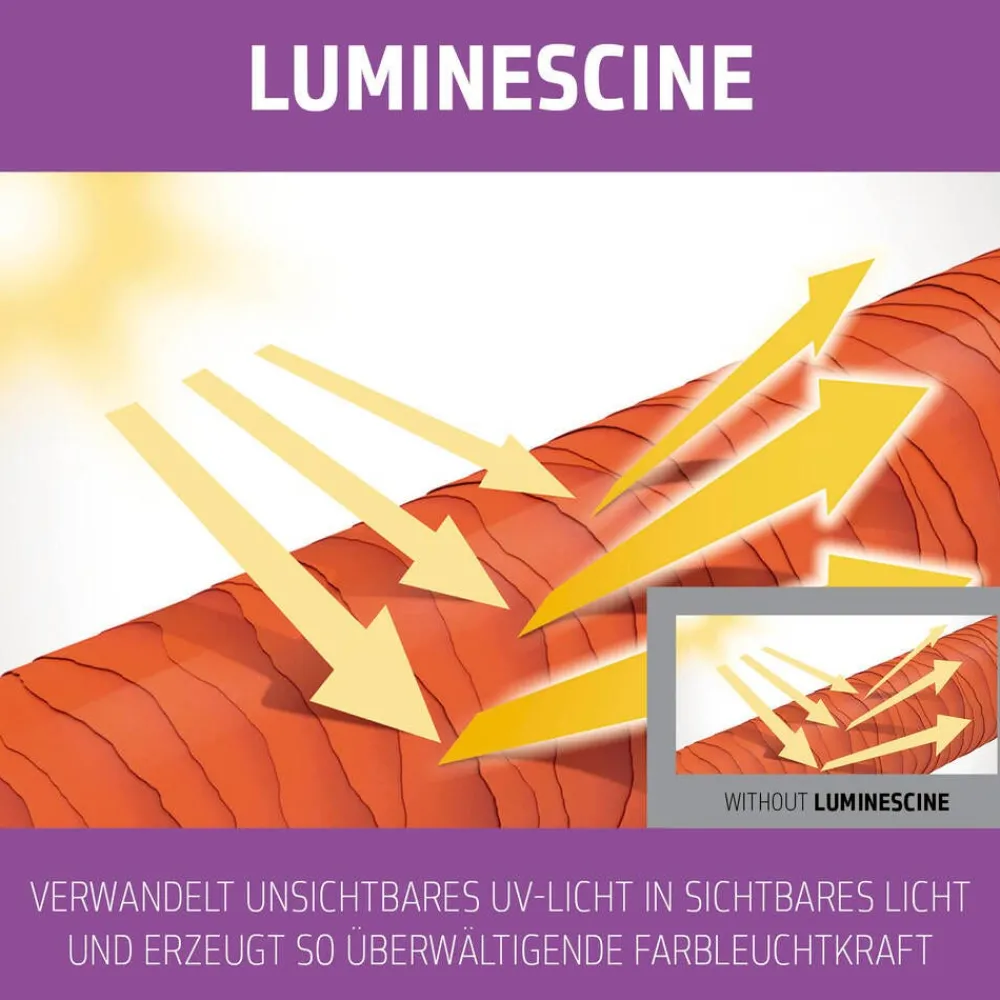 Dualsenses Blondes & Highlights Anti-Yellow Conditioner 200 ml-Goldwell Outlet