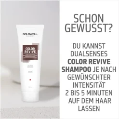 Goldwell Shampoo^Dualsenses Color Revive Shampoo Kühles Braun 250 ml