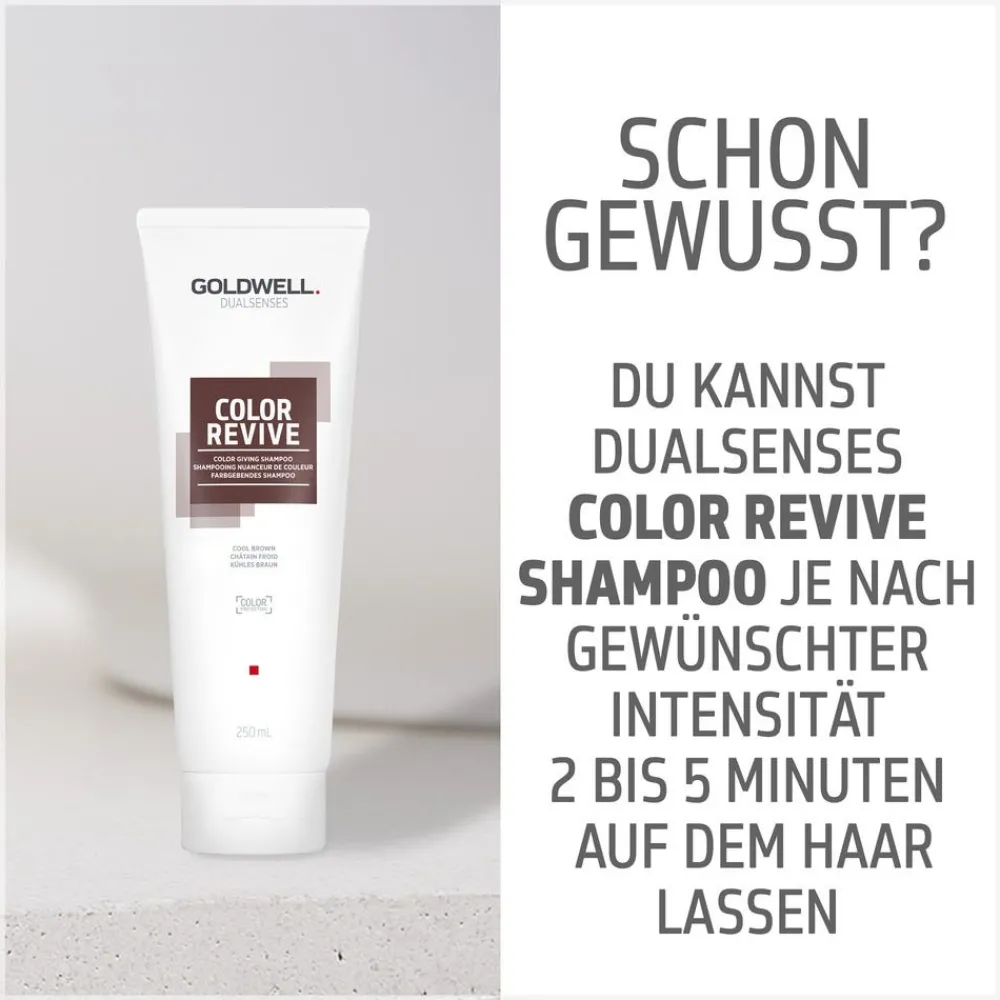 Goldwell Shampoo^Dualsenses Color Revive Shampoo Kühles Braun 250 ml