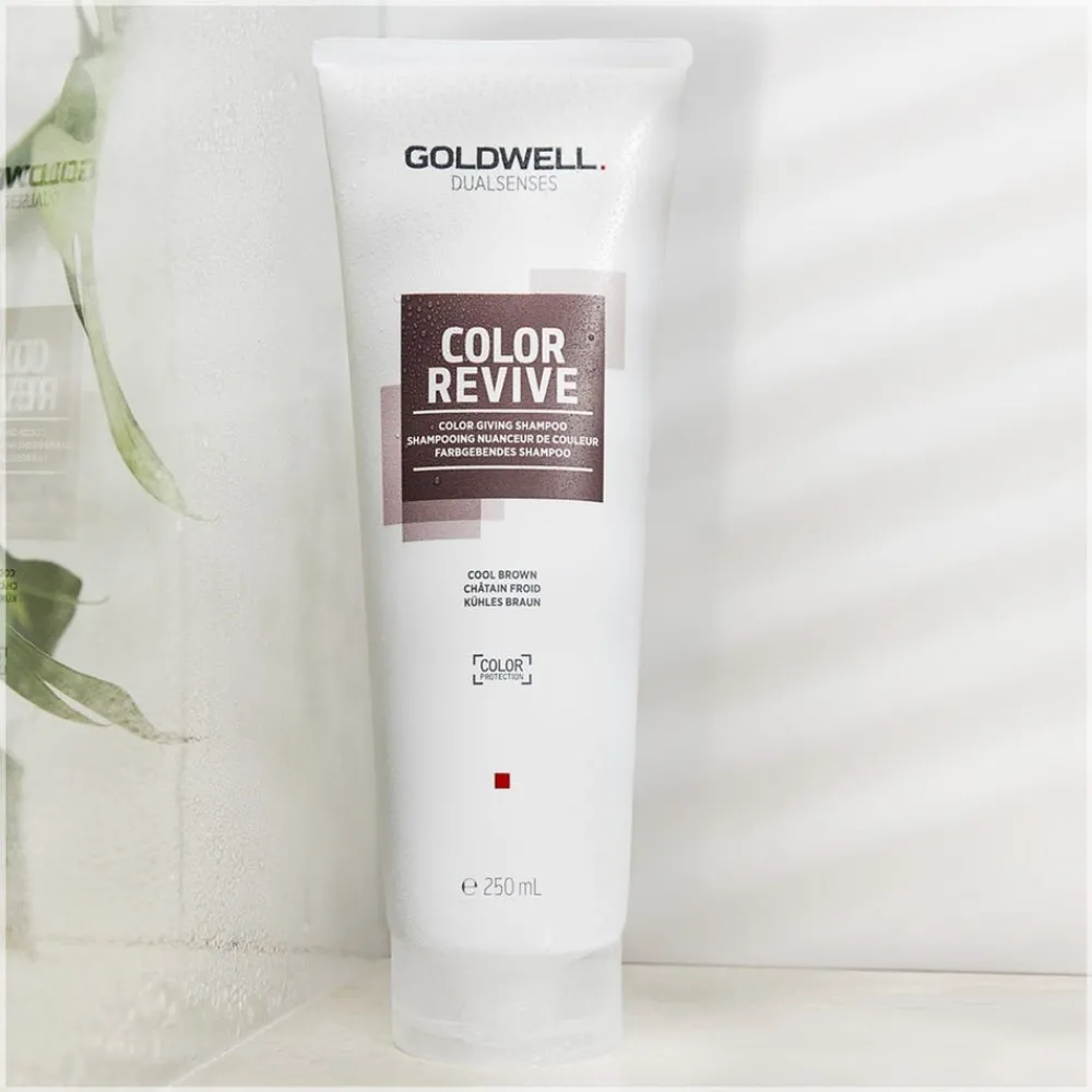Goldwell Shampoo^Dualsenses Color Revive Shampoo Kühles Braun 250 ml