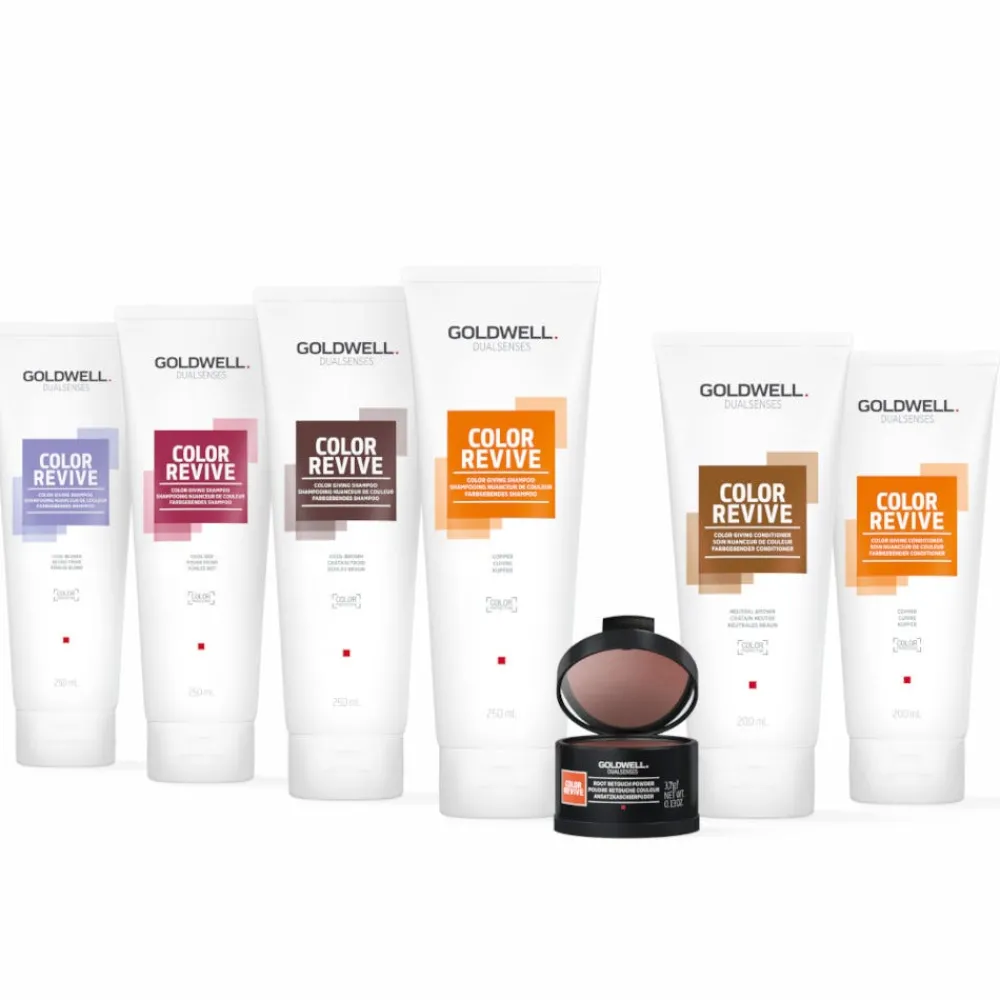 Goldwell Conditioner^Dualsenses Color Revive Conditioner Neutrales Braun 200 ml