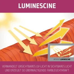 Dualsenses Color Extra Rich Brilliance Shampoo 250 ml-Goldwell Hot