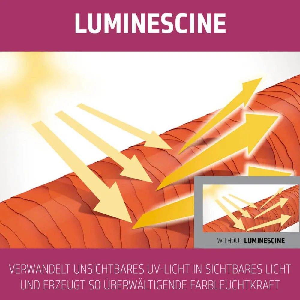 Dualsenses Color Extra Rich Brilliance Shampoo 250 ml-Goldwell Hot