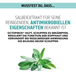 Goldwell Hagel Nature| Shampoo|Dualsenses Scalp Specialist Anti-Dandruff Shampoo 250 ml