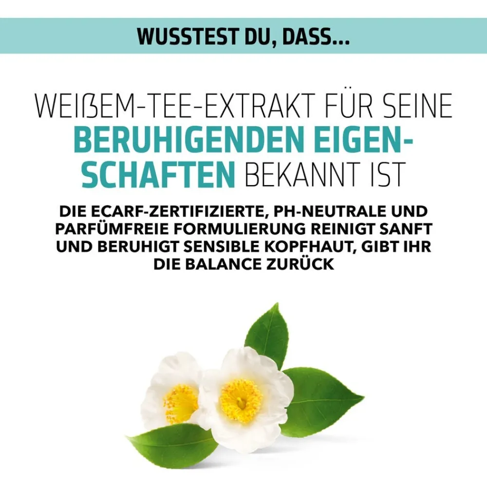 Dualsenses Scalp Specialist Sensitiv Foam Shampoo 250 ml-Goldwell Clearance