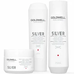 Dualsenses Silver Conditioner 200 ml-Goldwell Hot