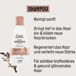 Bond+ Reparatur Shampoo 250 ml-Guhl Hot
