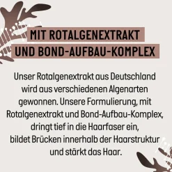 Bond+ Reparatur Shampoo 250 ml-Guhl Hot