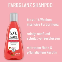 Guhl Shampoo^Color Schutz & Pflege Shampoo 250 ml
