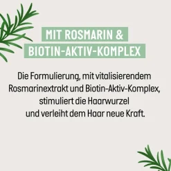 Guhl Reparatur & Stärkung|Kopfhautpflege|Kraft & Fülle Kopfhaut Tonikum 125 ml