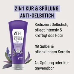 Guhl Hagel Nature| Haarkur^Silberglanz & Pflege 2 in 1 Anti-Gelbstich Kur 200 ml