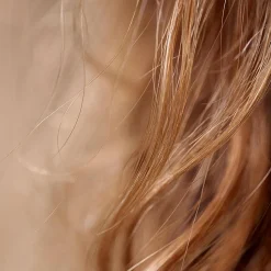 Hair Rituel by Sisley Pflege| Haarkur|Masque Soin Nutri Intense 190 ml