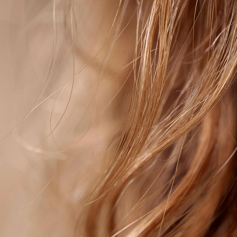 Hair Rituel by Sisley Pflege| Haarkur|Masque Soin Nutri Intense 190 ml