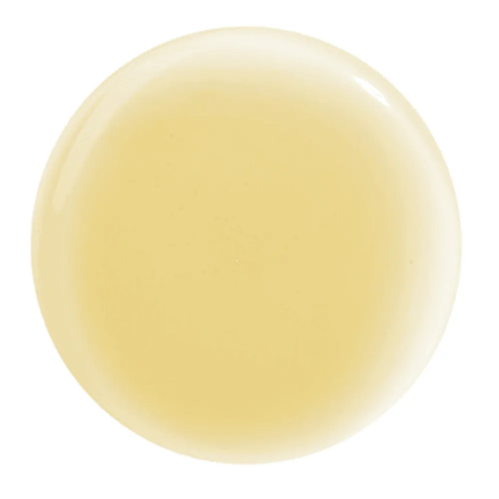 Hair Rituel by Sisley Shampoo| Shampoo|Soin Lavant Revitalisant Lissant 200 ml