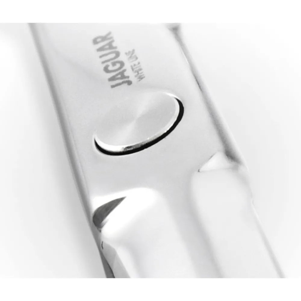 Jaguar Scheren|Haarschneideschere Hera 7,0