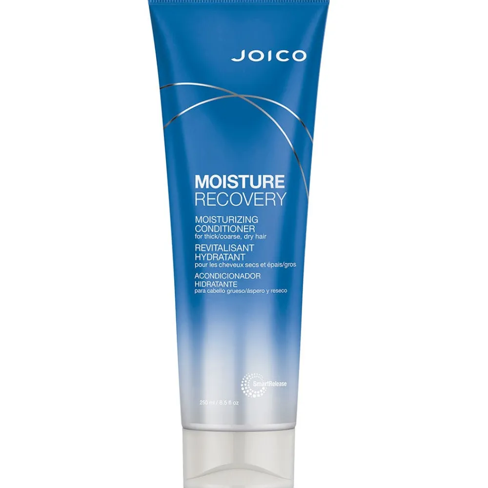 Joico Conditioner|Moisture Recovery Conditioner 250 ml
