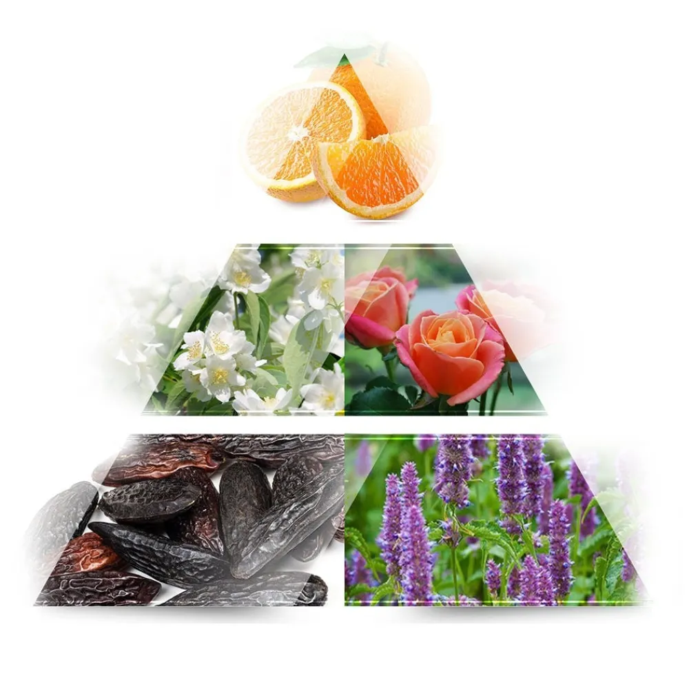 Damen La Rive Damendüfte|Isabelle Eau de Parfum 100 ml