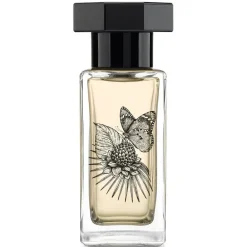 Lysandra EDP Spray 50 ml-LE COUVENT Discount