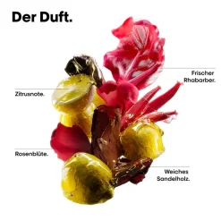 L'Oréal Professionnel Paris Shampoo^Serie Expert Vitamino Color Spectrum Shampoo Refill 500 ml