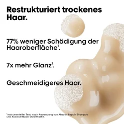 L'Oréal Professionnel Paris Haaröle| Haarkur^Serie Expert Absolut Repair Trio Holiday Set