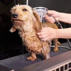 Glanz Fell Sensitiv Hunde Shampoo 250 ml-Margot Schmitt Outlet