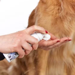 Margot Schmitt Hagel Nature|Glanz Fell Intensiv Pfotenpflege 75 ml