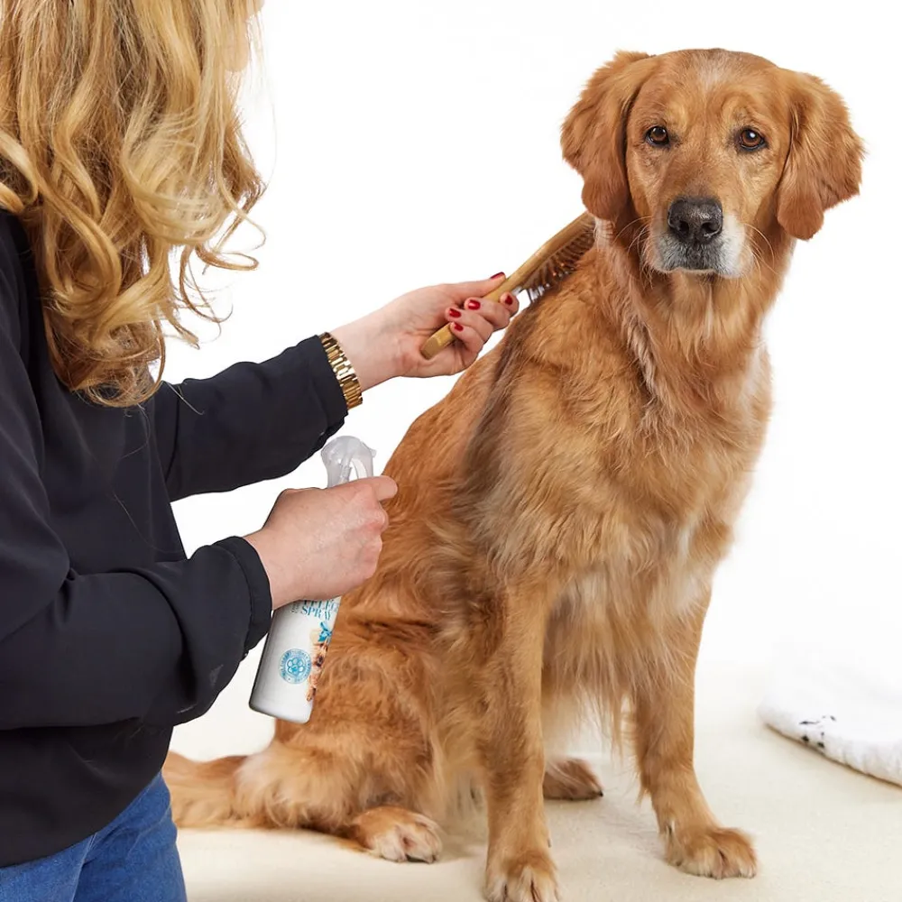 Margot Schmitt Hagel Nature^Glanz Fell Fellpflege Spray 250 ml