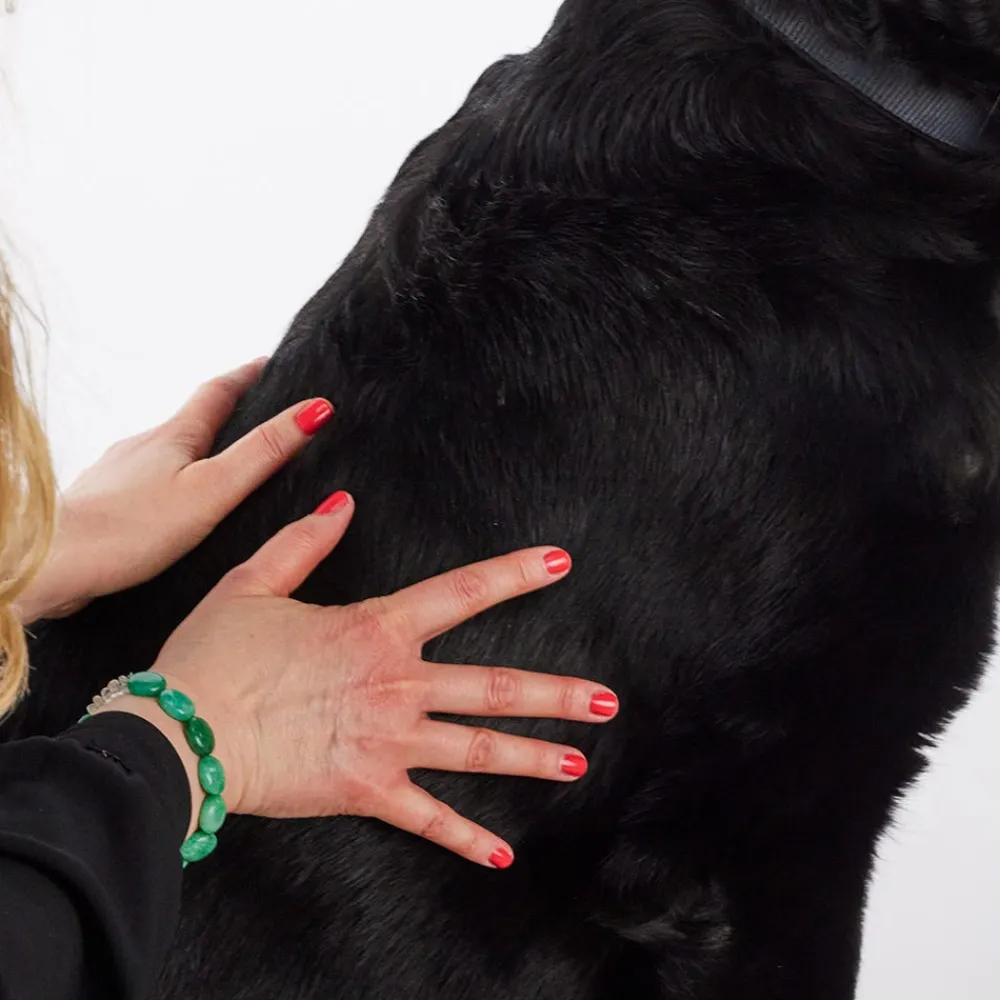 Margot Schmitt Hagel Nature^Glanz Fell Fellpflege Spray 250 ml