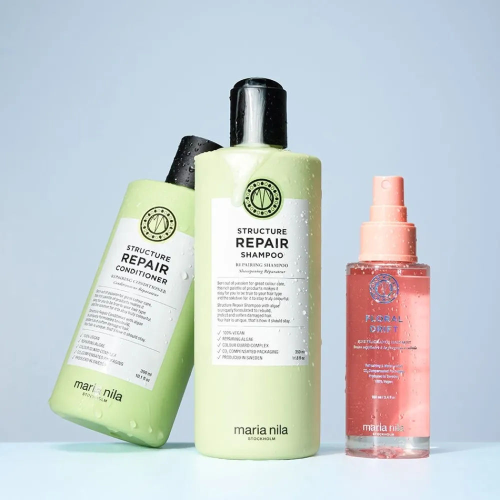 Holiday Box Structure Repair-Maria Nila