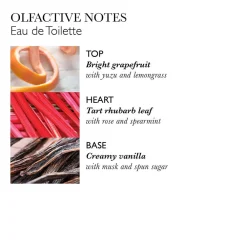 Delicious Rhubarb & Rose Hand Care Collection-Molton Brown