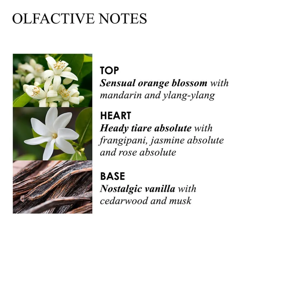 Flora Luminare Hand Lotion 300 ml-Molton Brown Clearance