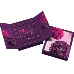 Monteil Paris Gesicht^Winterberry Christmas Adventskalender
