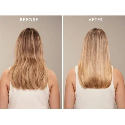 Treatment Mist 100 ml-Moroccanoil Best