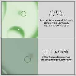 Nioxin Haarausfall|Haarverdichtung^Hair Booster Treatment 100 ml