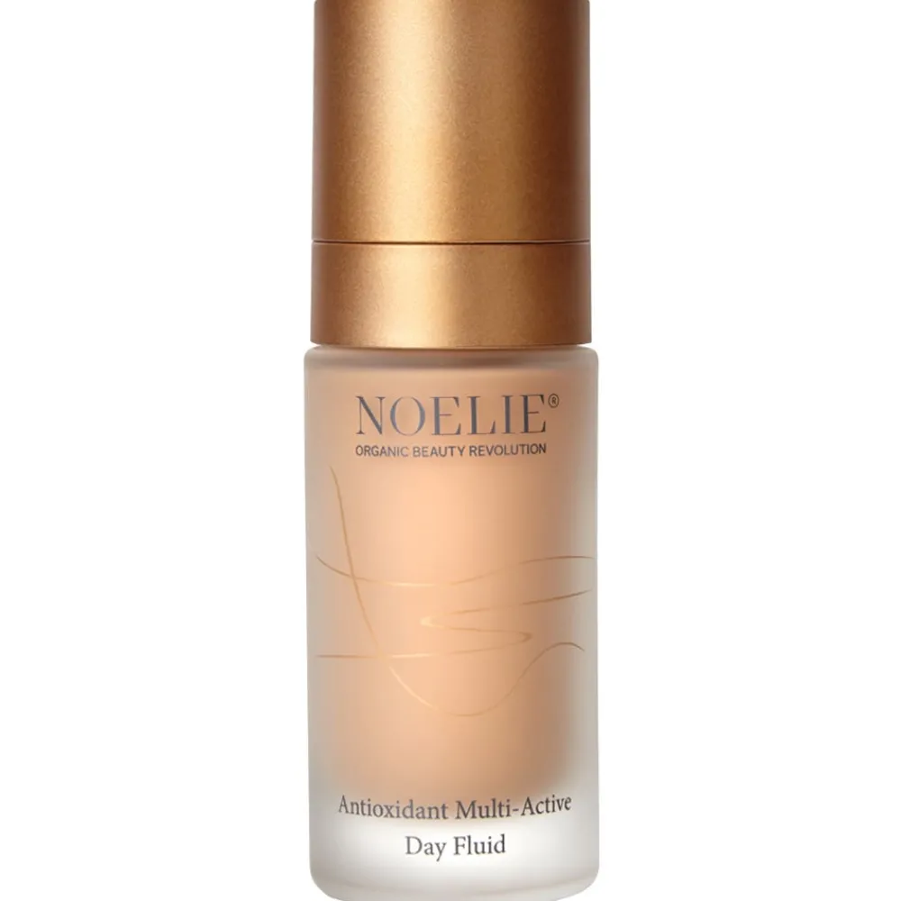 Antioxidant Multi-Active Day Fluid 30 ml-NOELIE Best