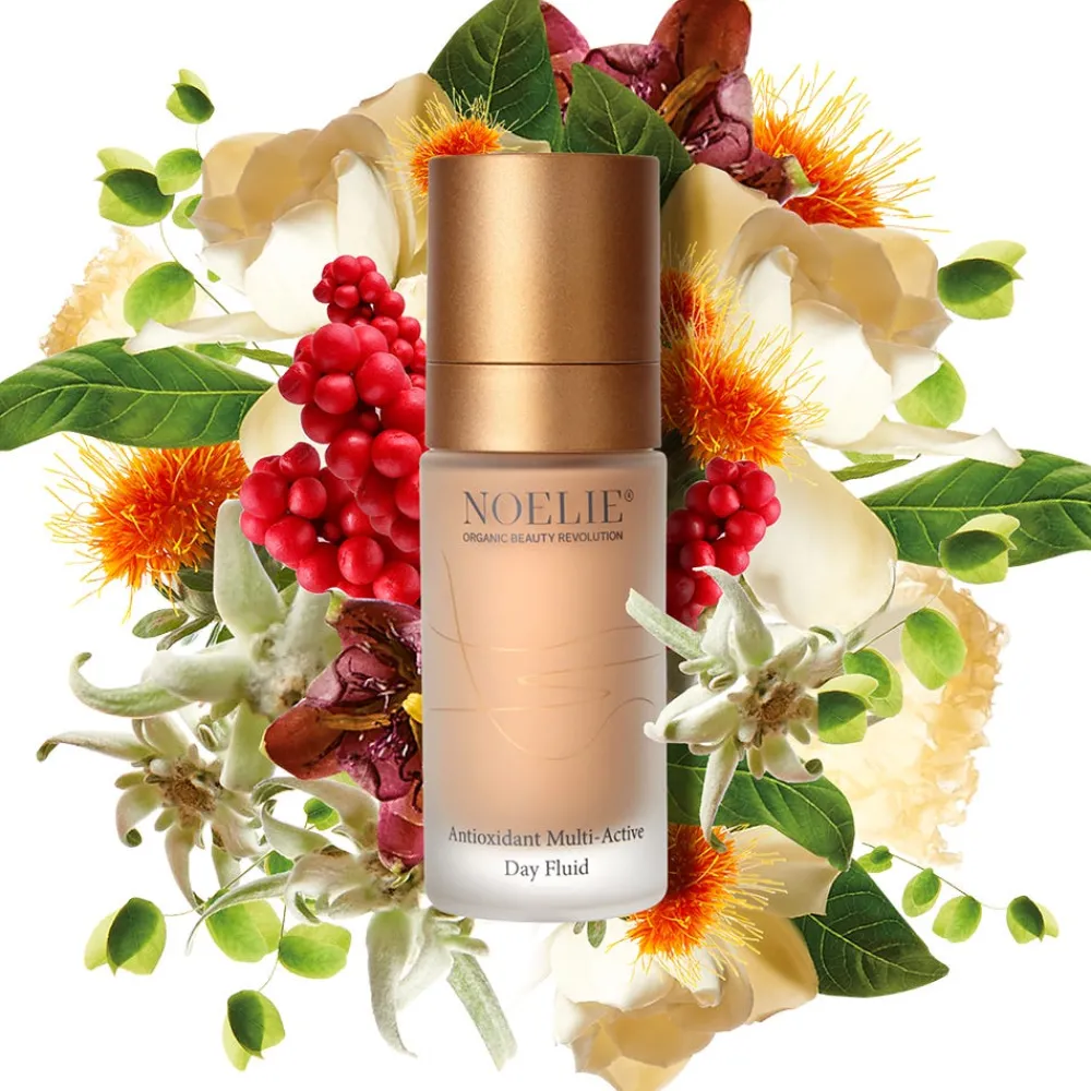 Antioxidant Multi-Active Day Fluid 30 ml-NOELIE Best