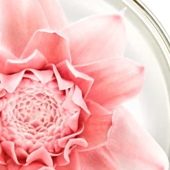 NUXE Gesicht^Nuxuriance Gold Öl-Creme 50 ml