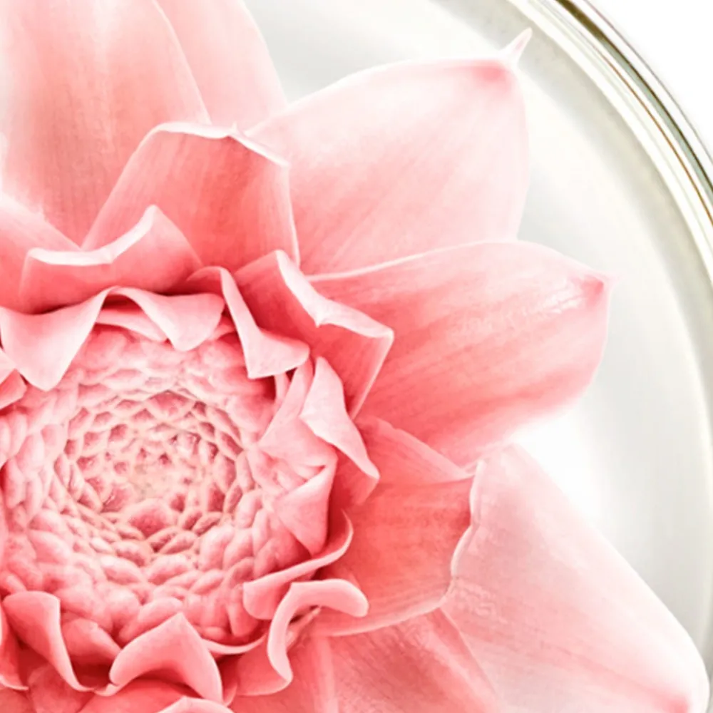 NUXE Gesicht^Nuxuriance Gold Öl-Creme 50 ml